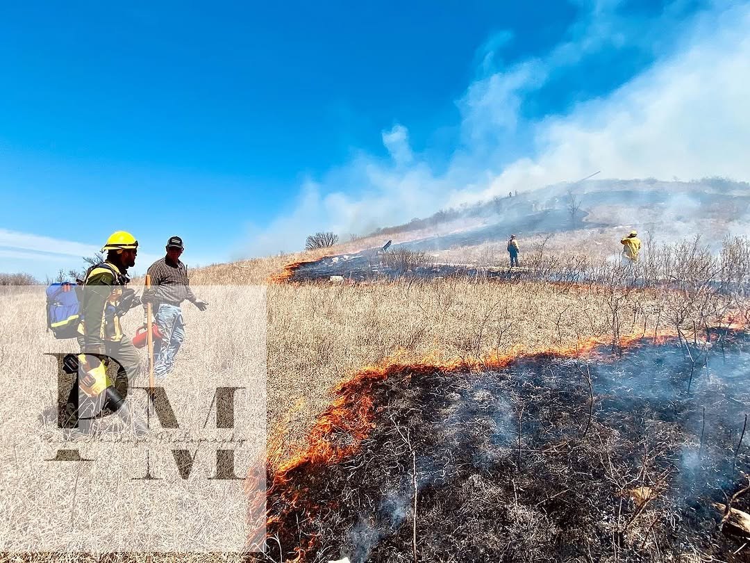 Prairie burn